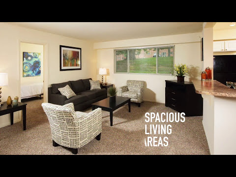 Apartment Video