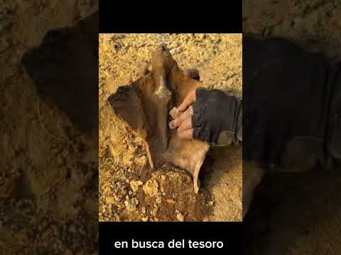 MIRA ESTE RARO DESCUBRÍMIENTO DE UN TESORO