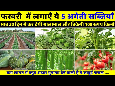 मात्र 45 दिन में लखपति 1 एकड़ से, लगाओ ये 5 सब्जियाँ॥ Highest Profit making 5 Vegetables in India