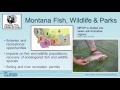 Water Management Roles and Responsibilities