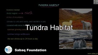 Tundra Habitat