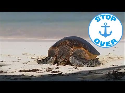 YouTube video thumbnail: The Seychelles Treasure Islands