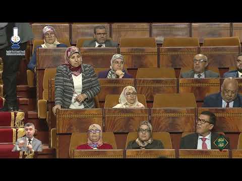 القنصوري/الكوط:عرض الأغنام المستوردة في الأسواق المحلية
