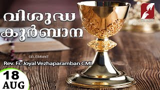 HOLY MASS LIVE @ 6 AM,18-AUG-2025|FR JOYAL VEZHAPARAMBAN VC|MALAYALAM QURBANA|TODAY MASS|GOODNESS TV