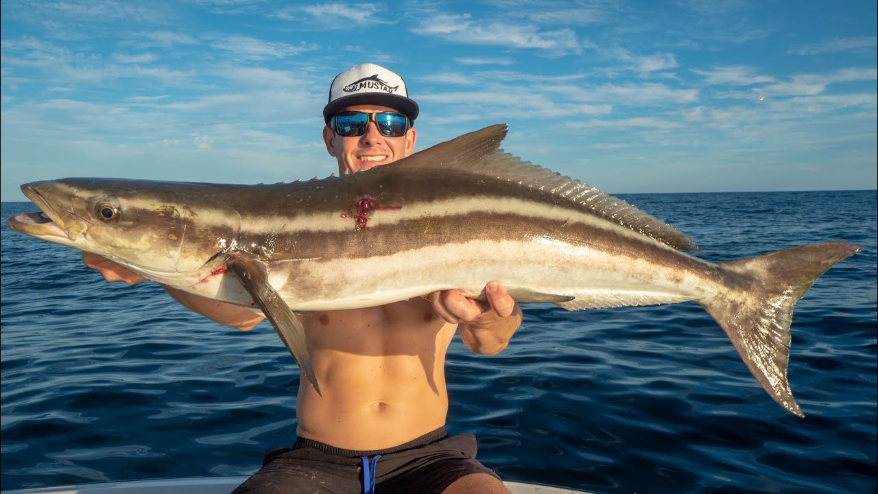 Nearly IMPOSSIBLE to Catch this Fish. Catch Clean Cook (Cobia)