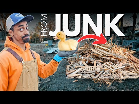 DIY for My Baby Duckling: Making It a Home with Scrap & Junk Materials on a Budget