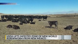YouTube video thumbnail: New World Screwworm 'Infested Zone' Lifted in New Mexico