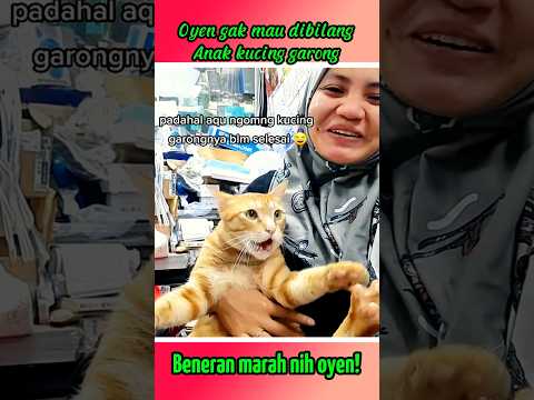 Oyen gak mau dibilang anak kucing garong #shorts #kucing #kucinglucu