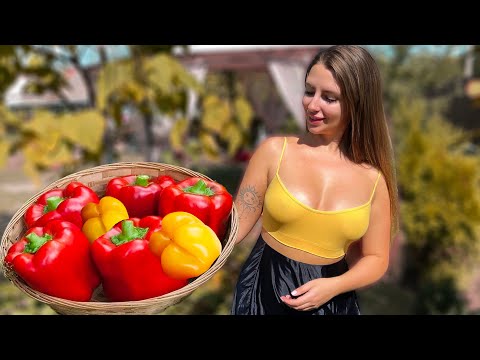 My Stuffed Peppers Are The Best | Village Cooking Recipes