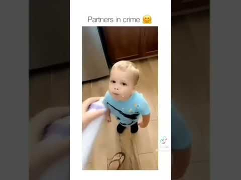 Funny Animals To Make Your Day