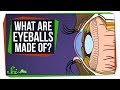 Understanding the Eye and Its Components