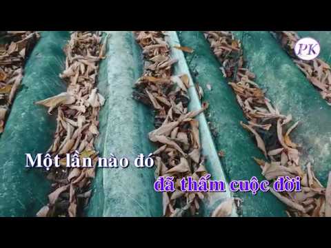 Karaoke Bản Tình Cuối – Tone Nam (Đô Thứ Cm)- Quốc Dân Karaoke