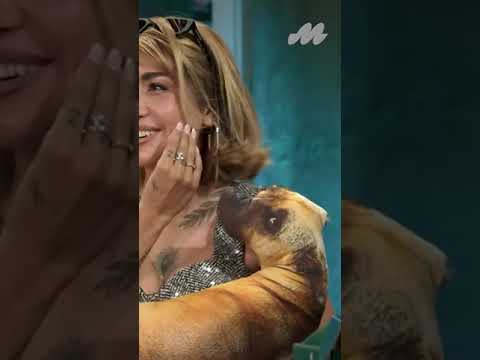 El TIEMPO que pasa en el CELULAR @María Becerra el tema (TODOS se SORPRENDEN) 😲 #SHORTS