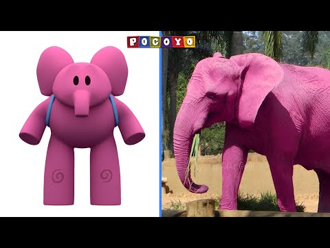 How Pocoyo Characters Looks In Real Life 💥