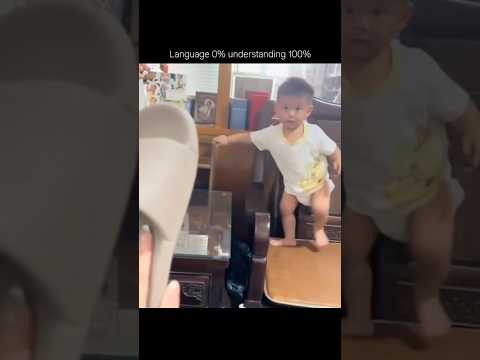 Universal language🫶😂#shorts #shortsfeed #ytshorts #yutubeshorts #trending #viral #memes #music