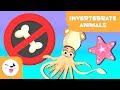 Characteristics and Functions of Animals