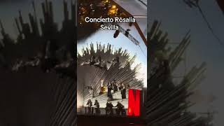 Show Rosalia Em Sevilla #brasileironaespanha #show #rosalia #netflix