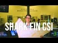 Shark Fin Trade and Conservation Efforts