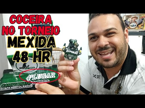 ACERTEI O TERREMOTO COCEIRA NO TORNEIO E MEXIDA 48HRS PAPACAPIM COLEIRO