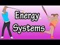 Exploring the Body's Energy Systems and ATP