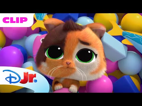 SuperKitties | Tu Consegues!