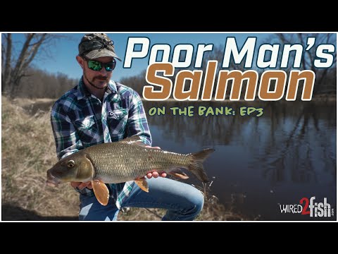 On The Bank - EP3: Shore Fishing Rivers in Spring