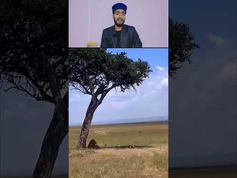 Allah madad aisa hi karte hai ☝️