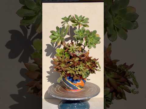 How to make a planter out of a broken vase! ￼#artist #diy