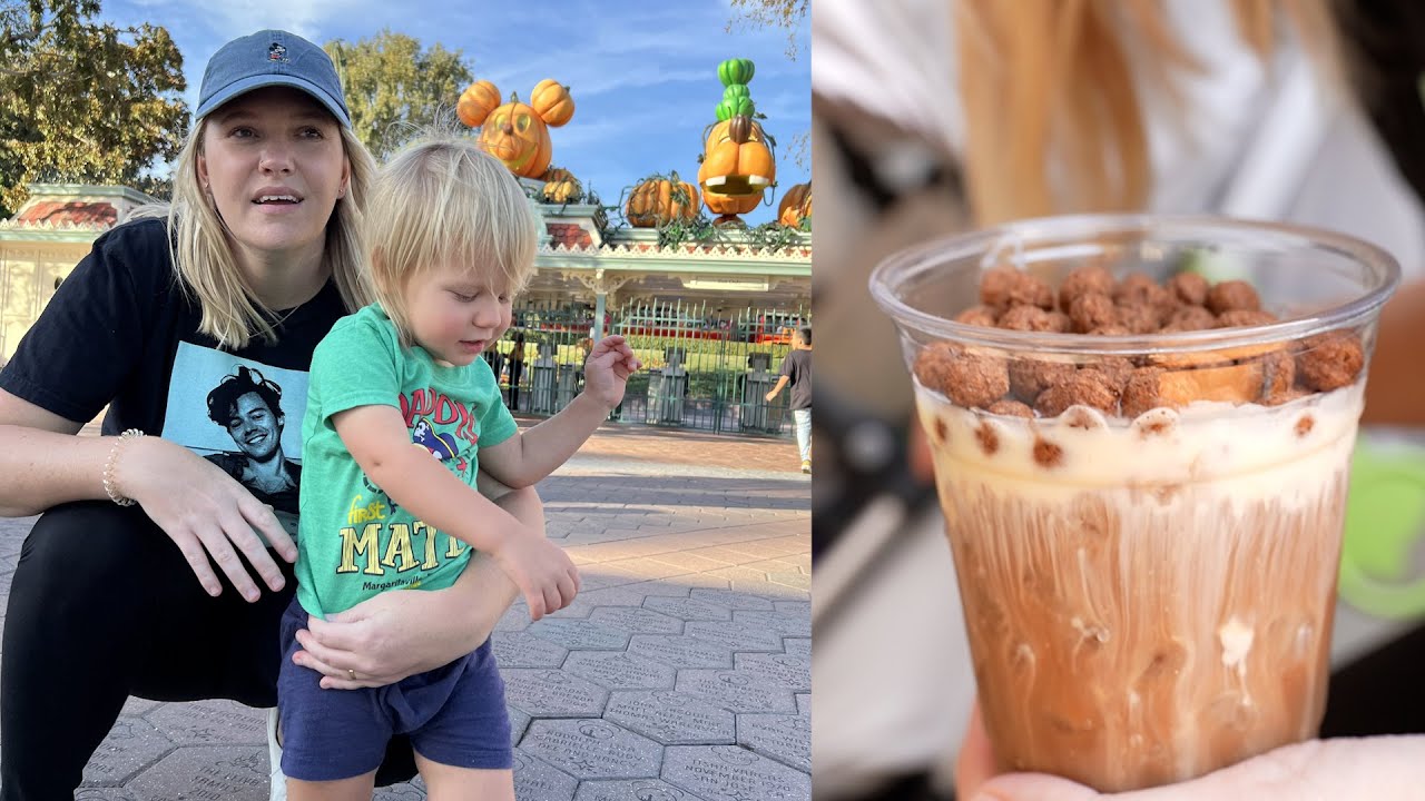 Our Last Disneyland Day & Traveling To Universal Hollywood! Food, Merch Haul & More Fun! The Tim Tracker