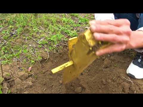 Golden Pearl Treasure, a unique exploration journey