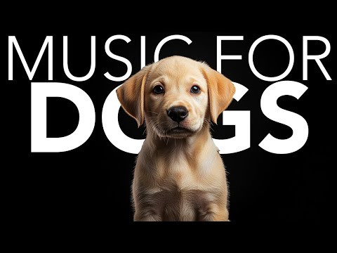 10 Hours of Dog Sleep Music – Deep Rest for Tired Pups