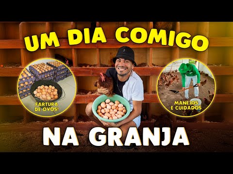 ROTINA NA GRANJA