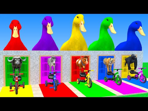 Long Slide Game With Cow Elephant Gorilla Hippopotamus Tiger 3d Animal Game Funny 3d Animals