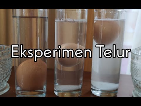 Floating Egg Science Experiment (Telur terapung, melayang, dan tenggelam)