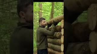 A Man Builds a Survival House in the Larch Wood | From Start to Finish @forest survivals