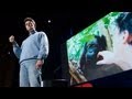 Orangutan Conservation and Reforestation Efforts