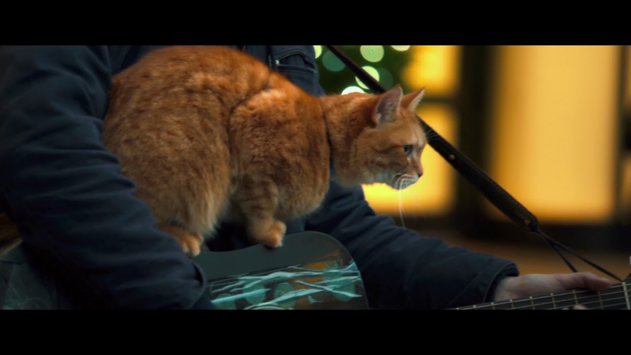 A Street Cat Named Bob Trailerin pikkukuva