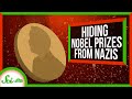 Nobel Medals and Chemistry in WWII
