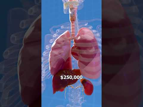 How Much Are Your Organs Worth? 🫀 #shorts