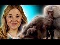 Animal Altruism and Empathy Concepts