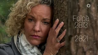 Michael & Natascha❤️ | Mord um Beatrice | Sturm der Liebe 2813 - 2821 | Sturm der Liebe Fangirl