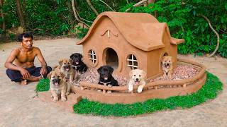 I Built a Giant Clay Dog House for Cute Puppies 🐶 So Adorable!