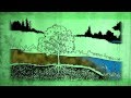 Wetlands and the Water Cycle