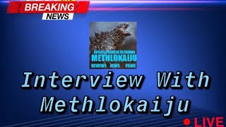 Interview With Methlokaiju