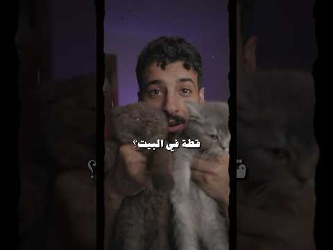 عائلة البهاليل👑🐈‍⬛