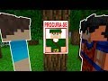 Aventura de Beto e Robin
