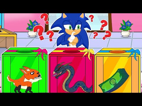 Sonic, Don't Choose the Wrong Mystery Box ?? Funny Pregnancy Situations | BamBo Animation