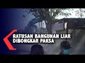 Urban Planning and Flood Management in Semarang