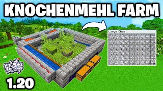 Minecraft automatische Knochenmehl Farm bauen - Knochenmehl Farm bauen in Minecraft 1.20
