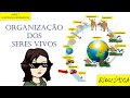 Minerais e Funções Biológicas